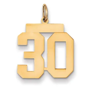 14K Yellow Gold Polished Finish Medium Size Number 30 Charm Pendant