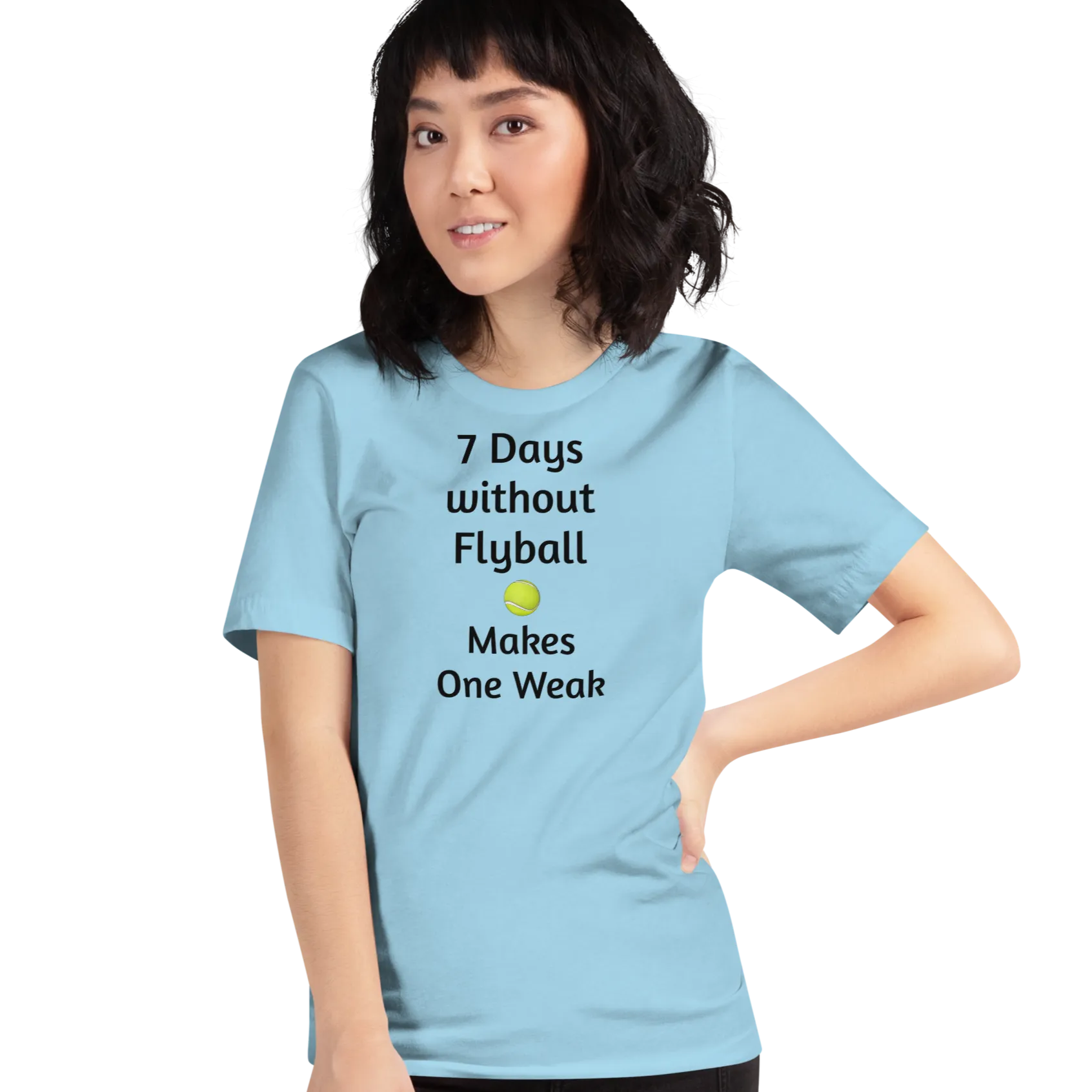 7 Days Without Flyball T-Shirts - Light