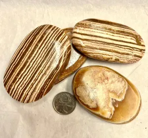 Aragonite Palm Stone