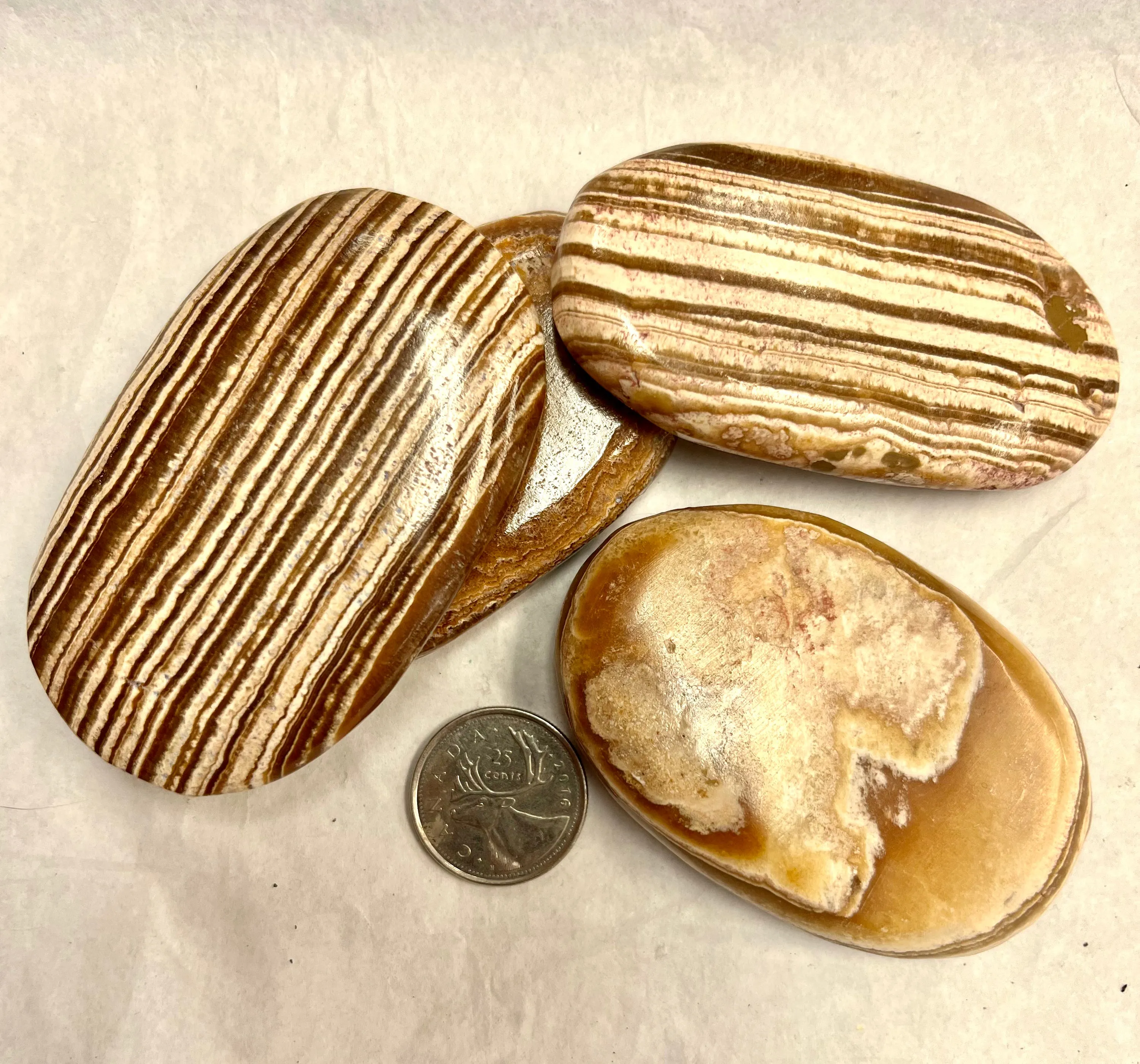 Aragonite Palm Stone