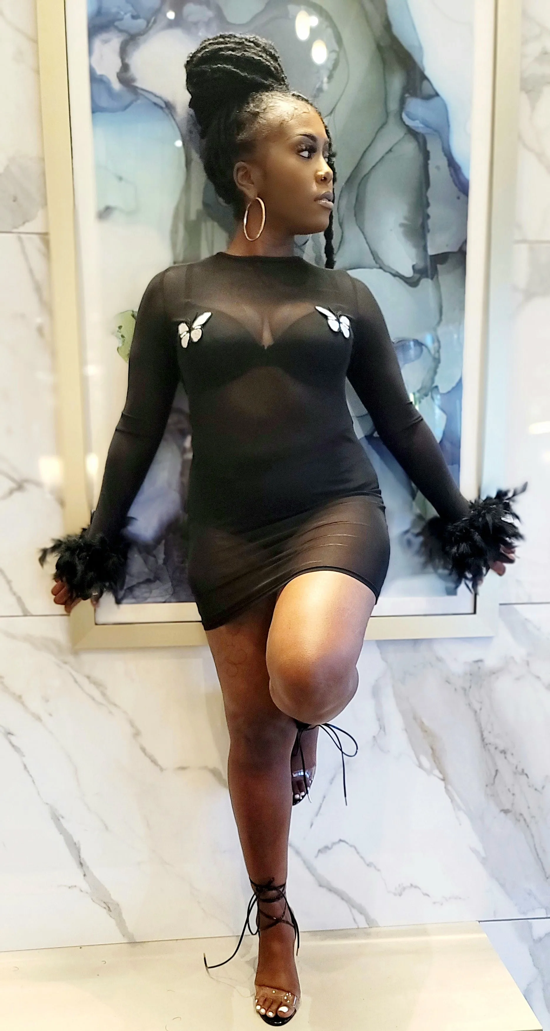 Black Butterfly Sheer Dress