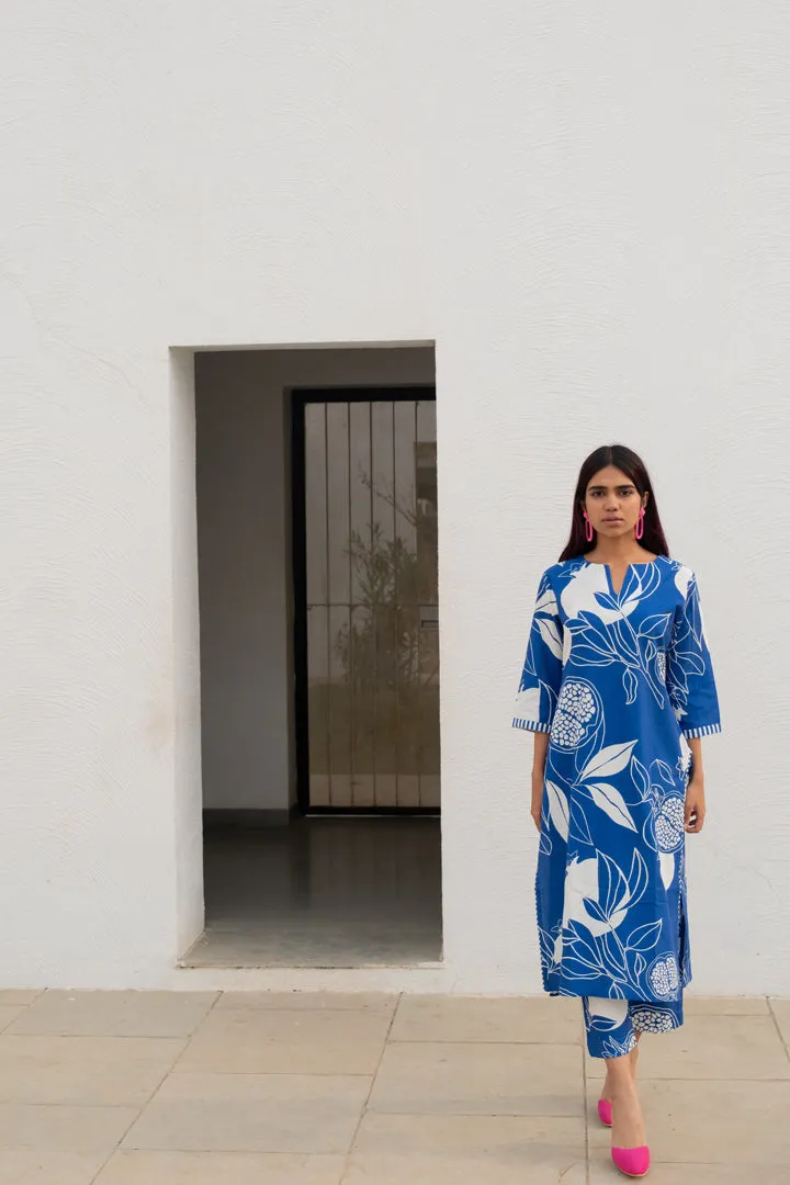 Blue Anaar Kurta