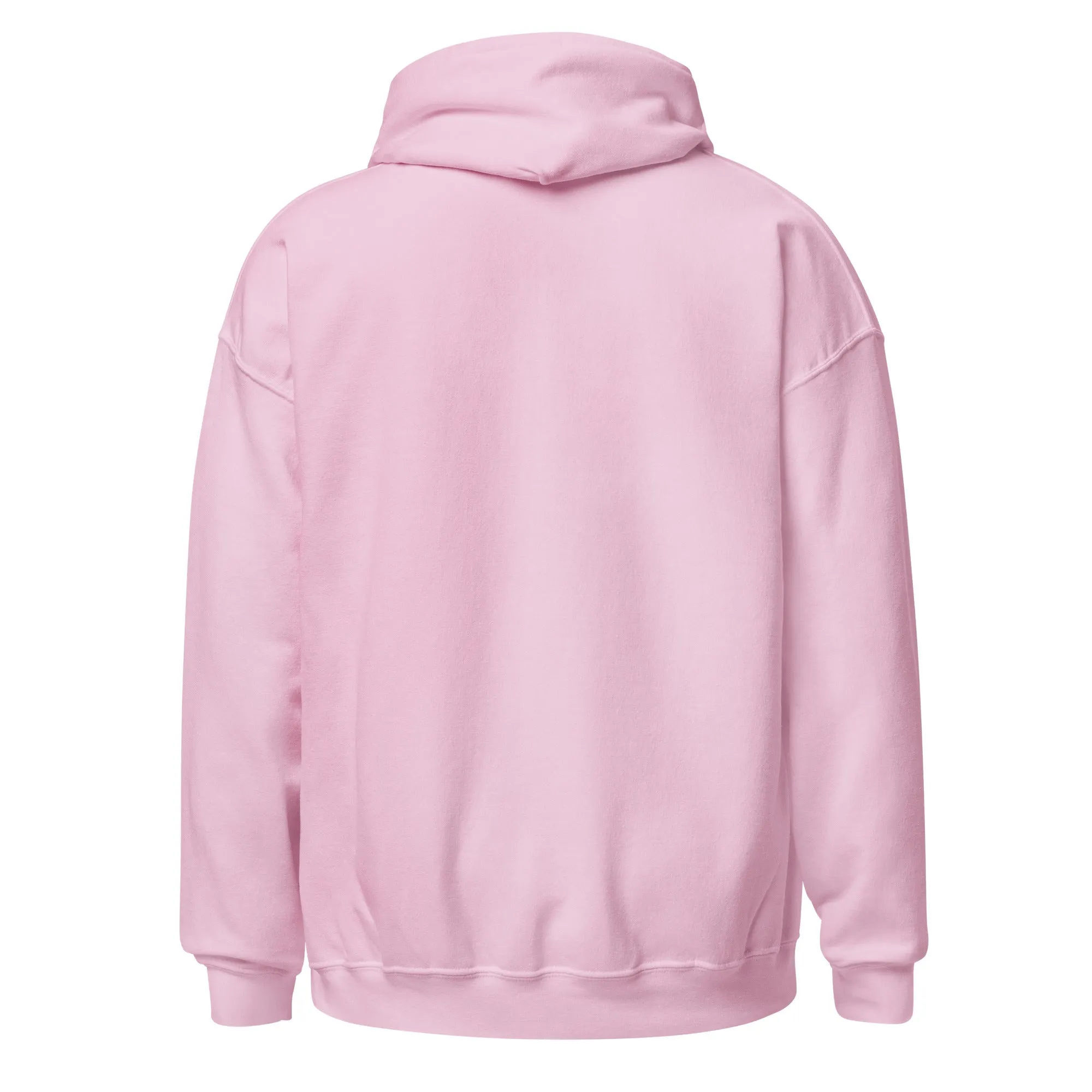 Celestial Cat Embroidered Hoodie