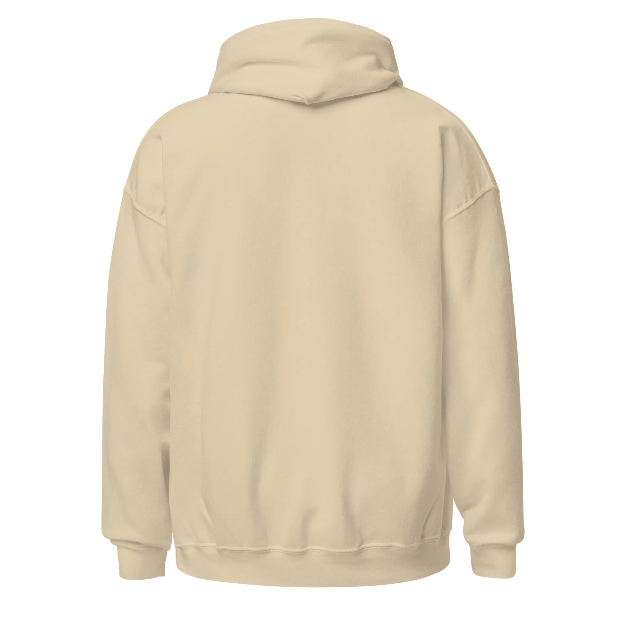 Celestial Cat Embroidered Hoodie