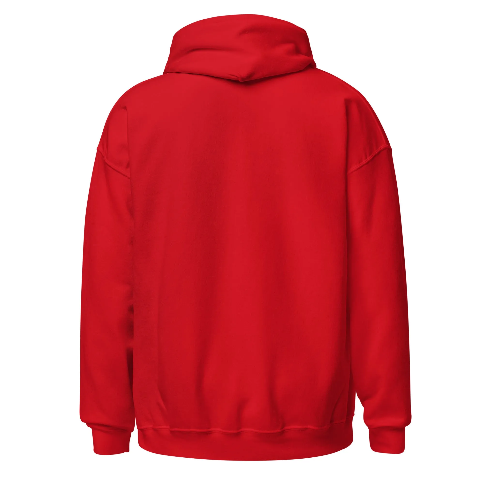 Celestial Cat Embroidered Hoodie
