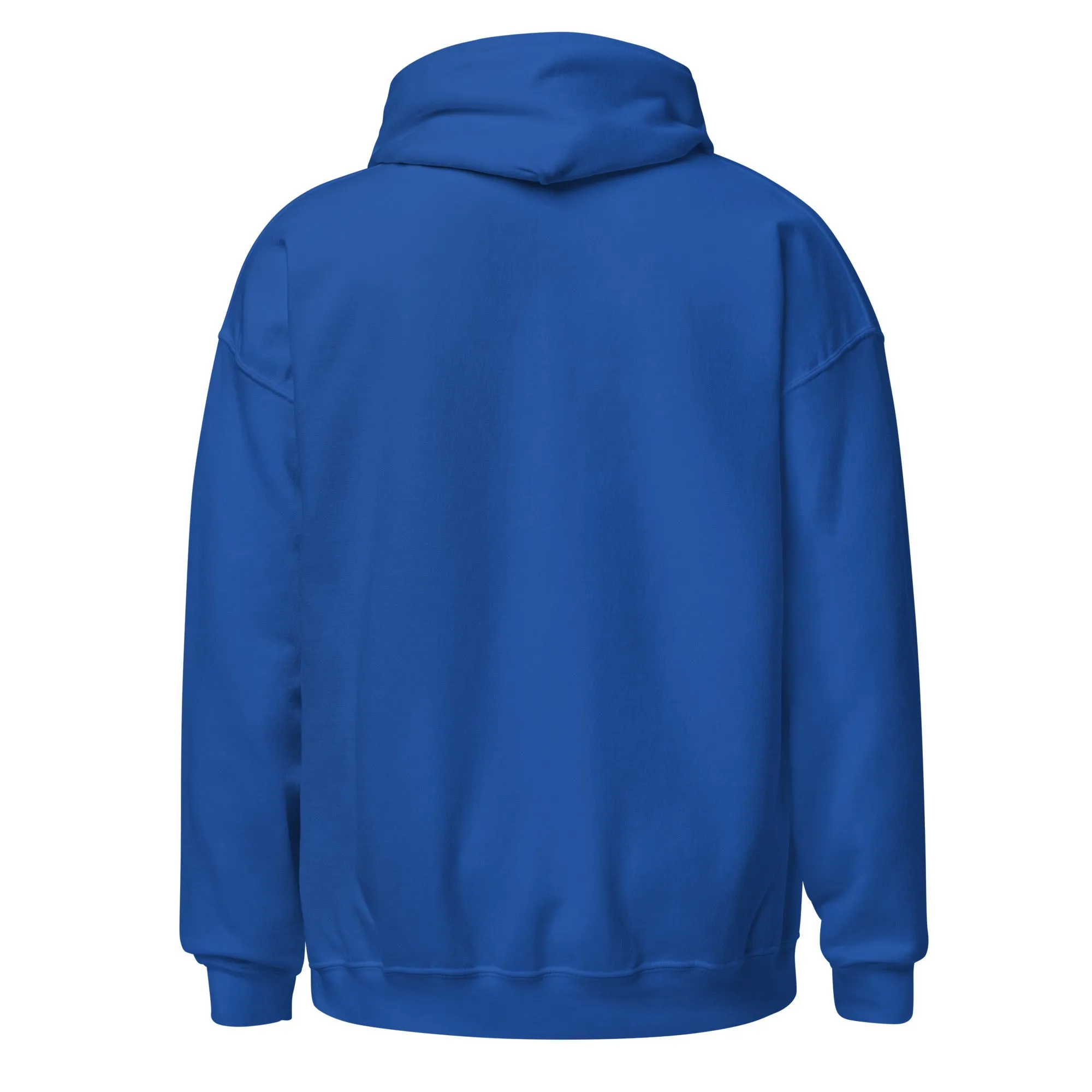 Celestial Cat Embroidered Hoodie