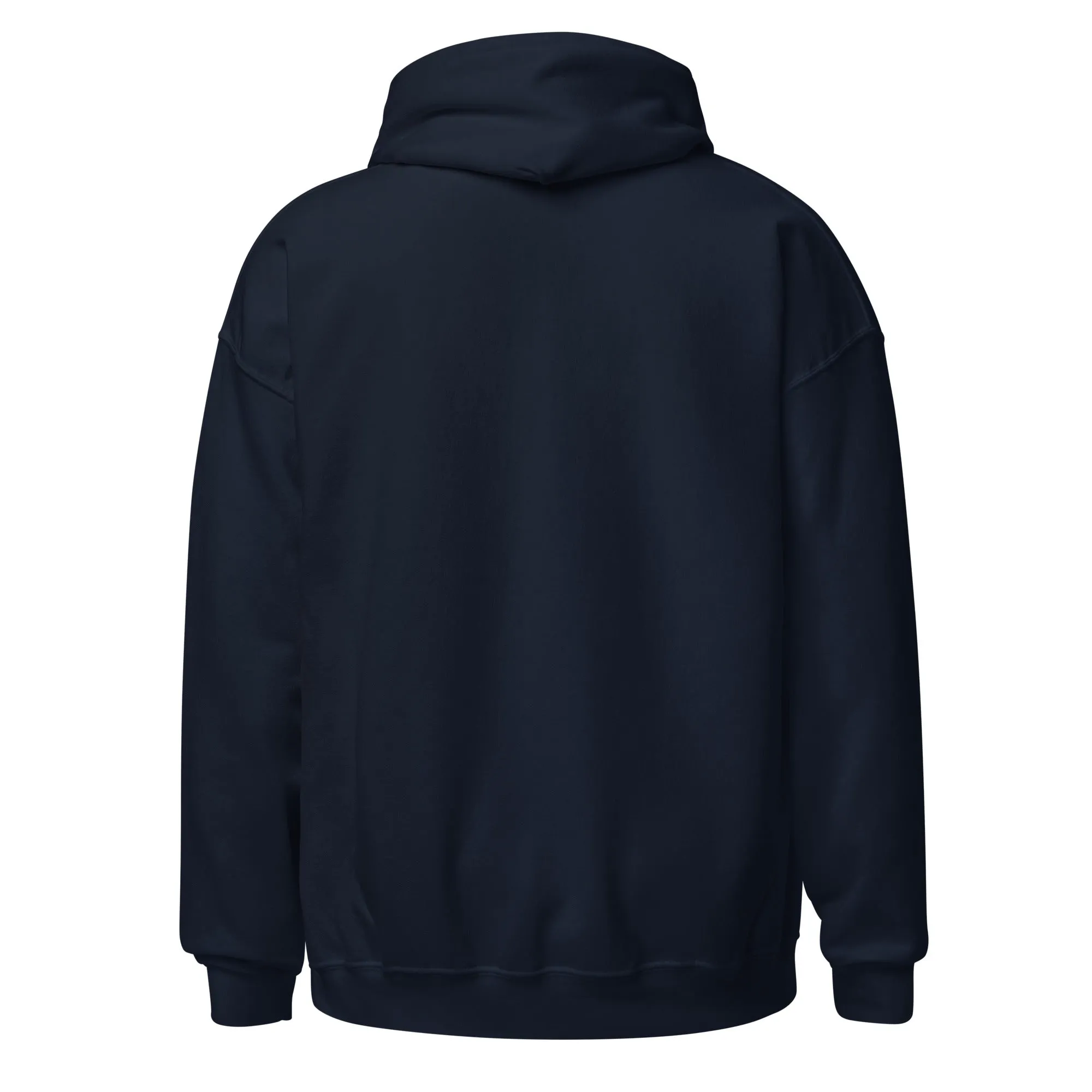 Celestial Cat Embroidered Hoodie