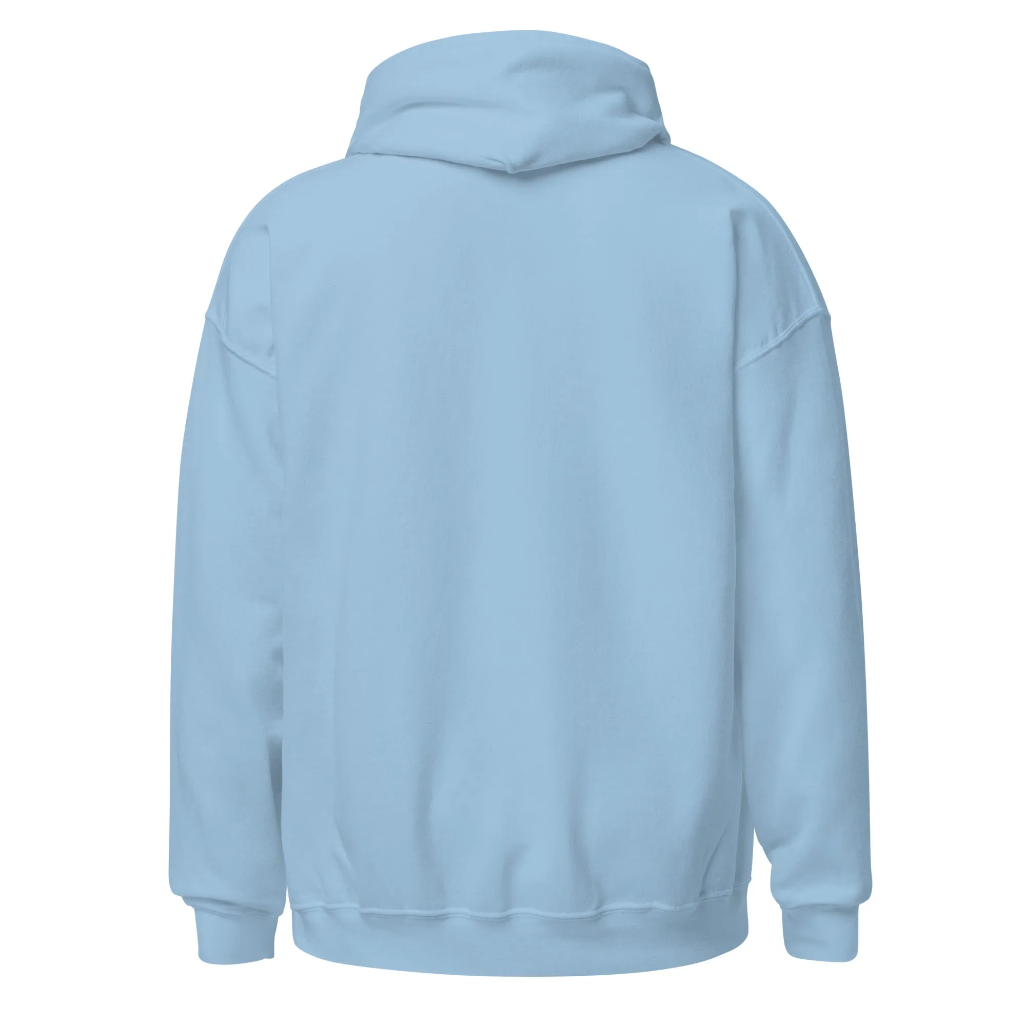 Celestial Cat Embroidered Hoodie
