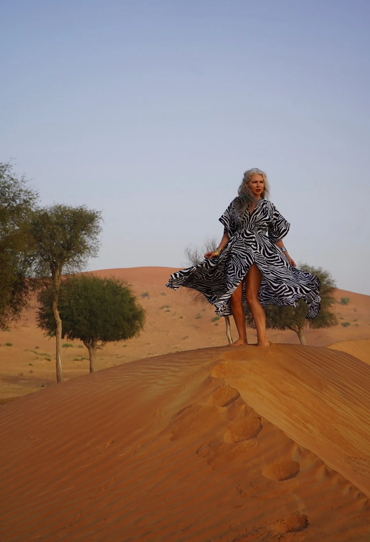 Goddess circle dress in zebra print