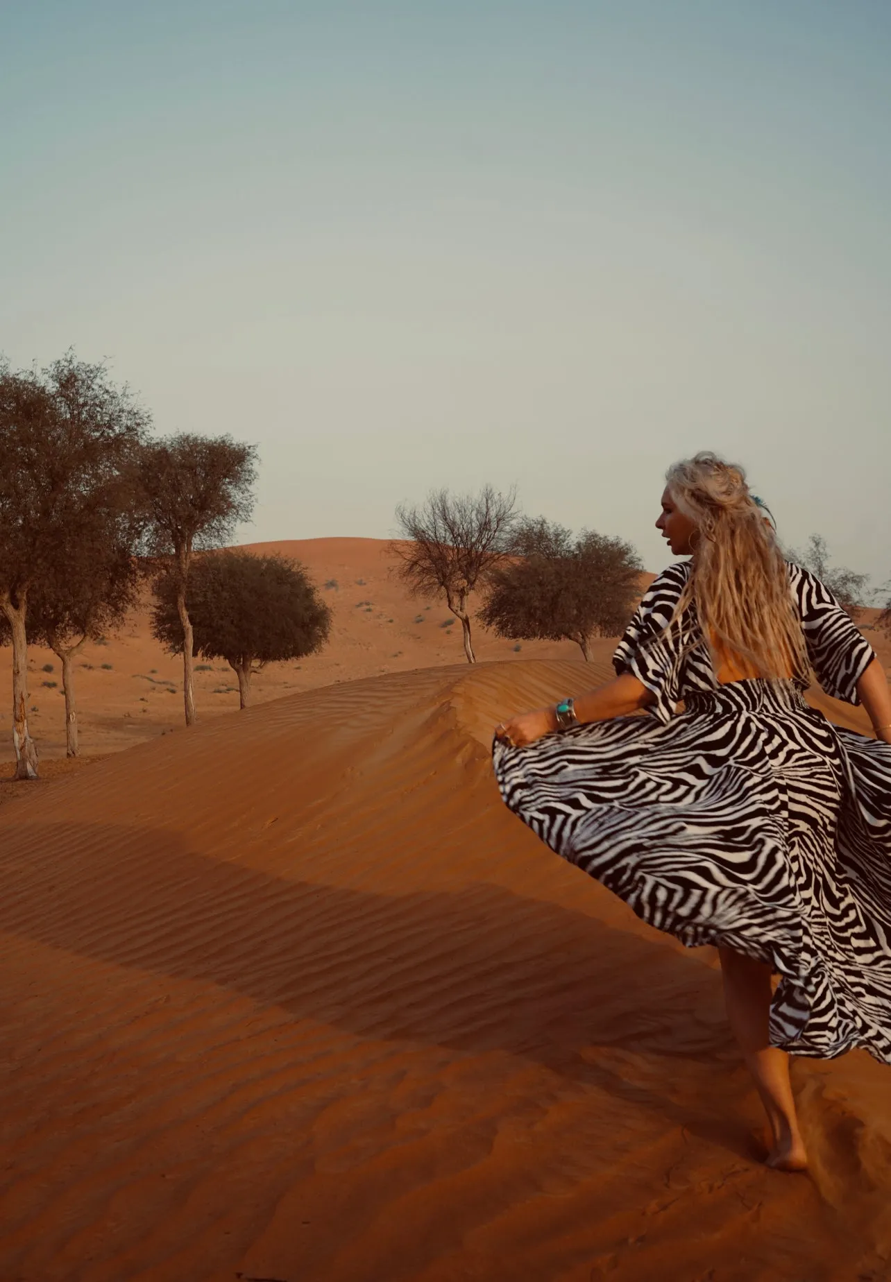 Goddess circle dress in zebra print