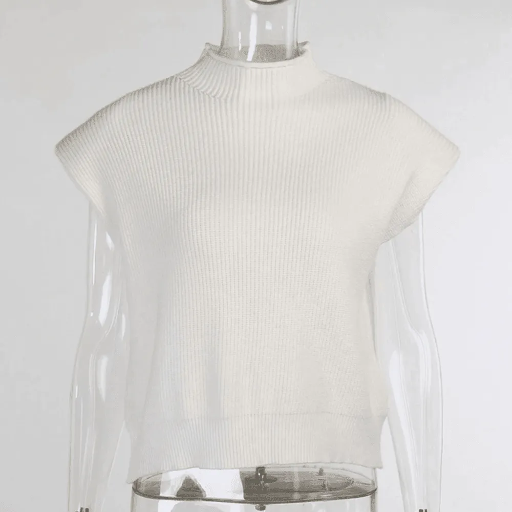 Meggy Vintage Ribbed Turtleneck Knitted Vest