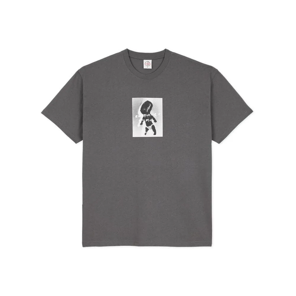 Polar 'Everything Is Normal' T-Shirt (Graphite)