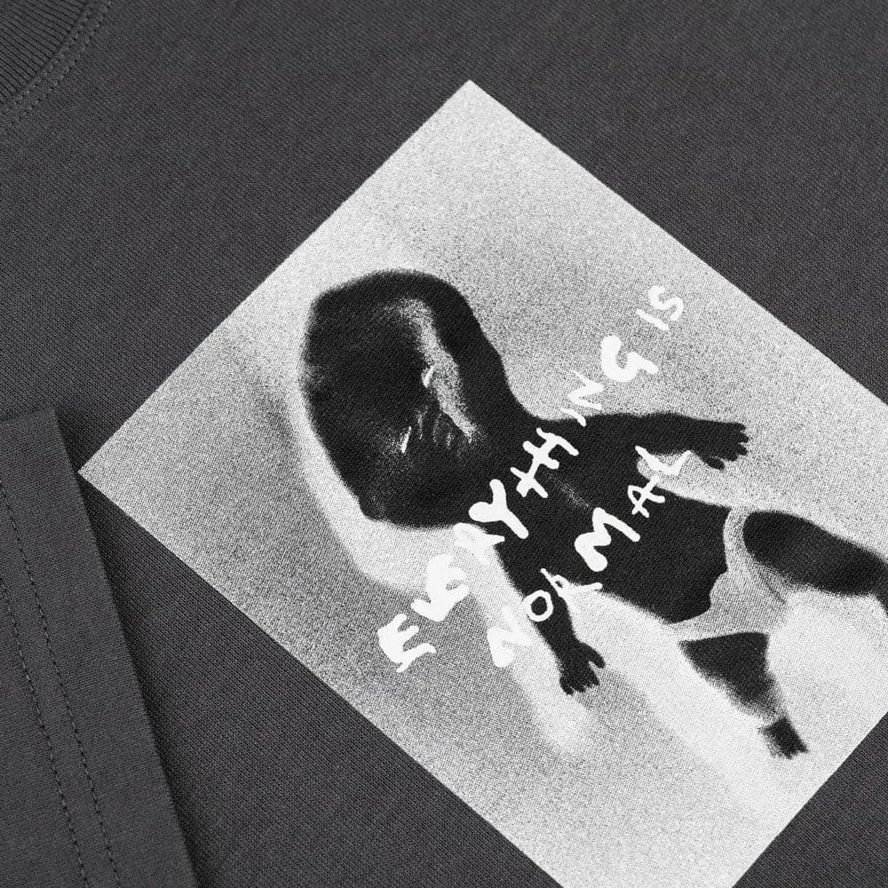 Polar 'Everything Is Normal' T-Shirt (Graphite)