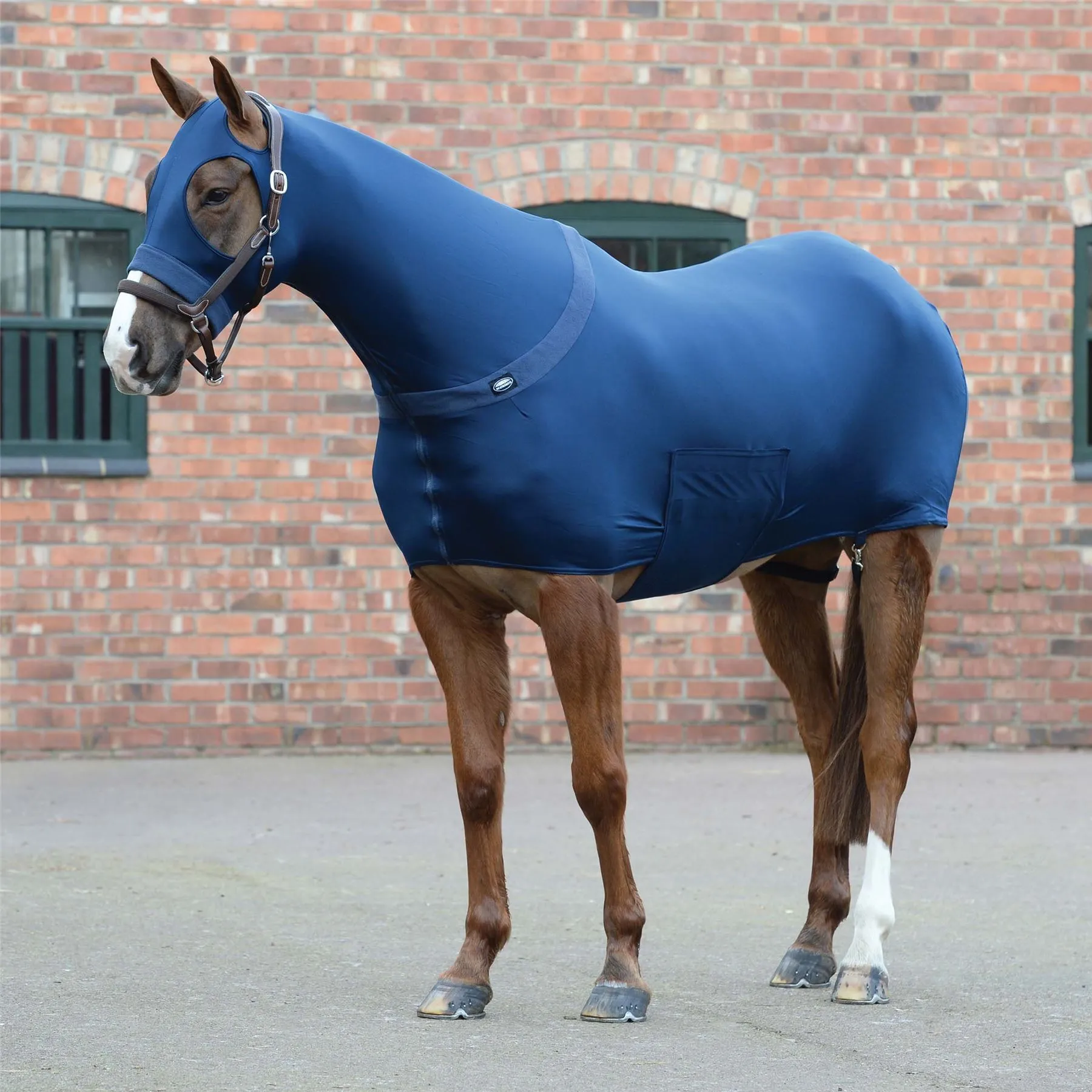 Weatherbeeta Stretch Rug