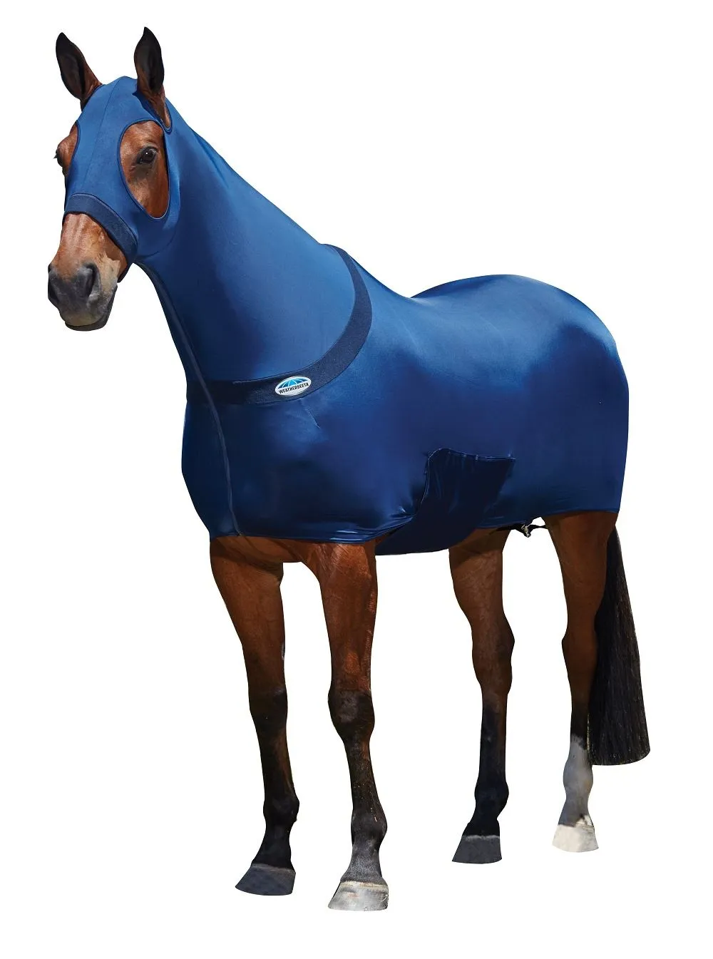 Weatherbeeta Stretch Rug